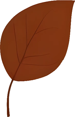 Downloadable Transparent Leaf PNG Image_7.webp